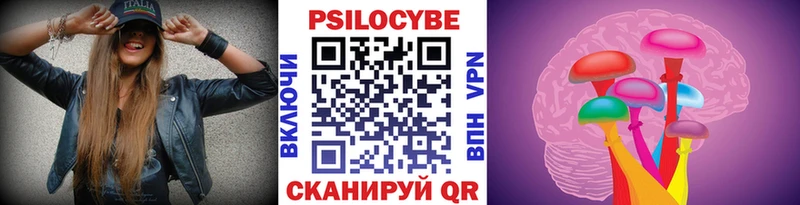 Купить где  Юрьевец  Псилоцибиновые грибы MAGIC MUSHROOMS 