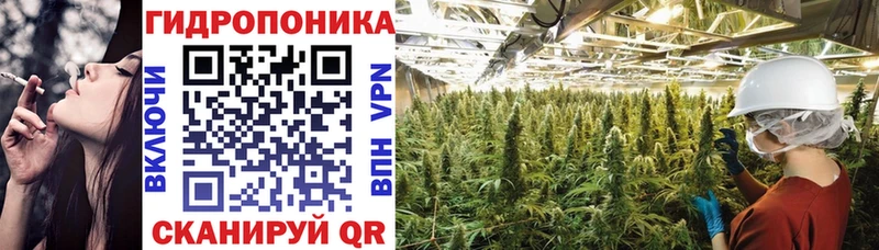 Канабис OG Kush  Купить закладки  Юрьевец 